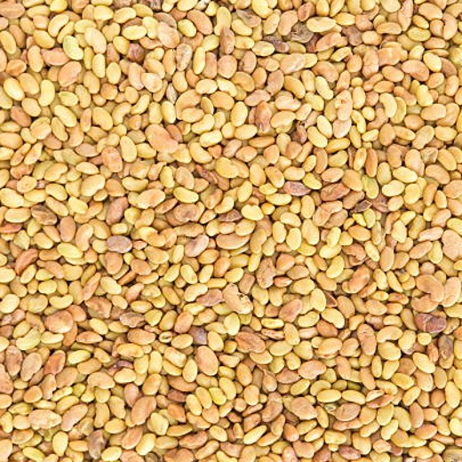 Alfalfa Sprouting Seeds – Fresh, Nutritious & Easy to Grow - Image 4