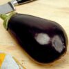 Aubergine Black Beauty