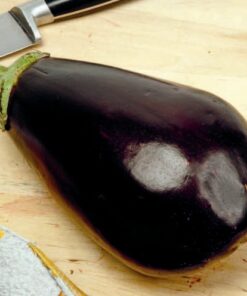 Aubergine Black Beauty