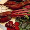 Cylindra Beetroot