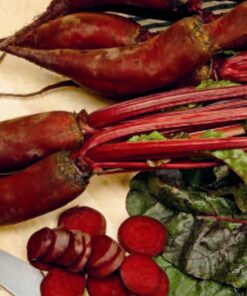 Cylindra Beetroot