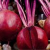 Beetroot Detroit