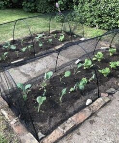 Tunnel Frame with Netting