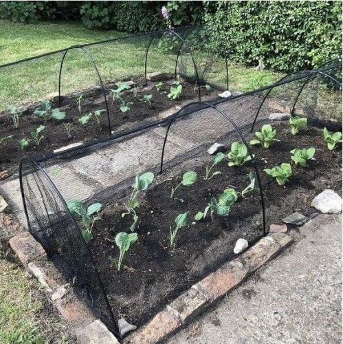 Soft Butterfly Netting