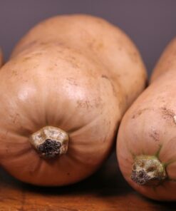 Alternative view of Butternut Squash Waltham – Sweet, Nutty Winter Squash Seeds