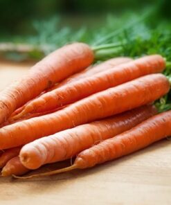 Touchon Carrots