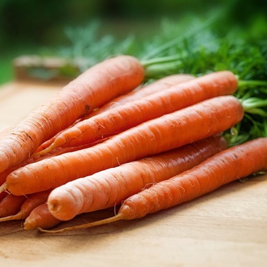 Touchon Carrots