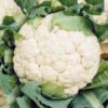 Cauliflower Snowball