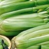Celery Pascal