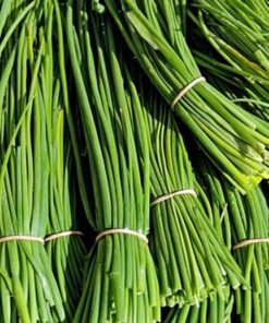 Chives