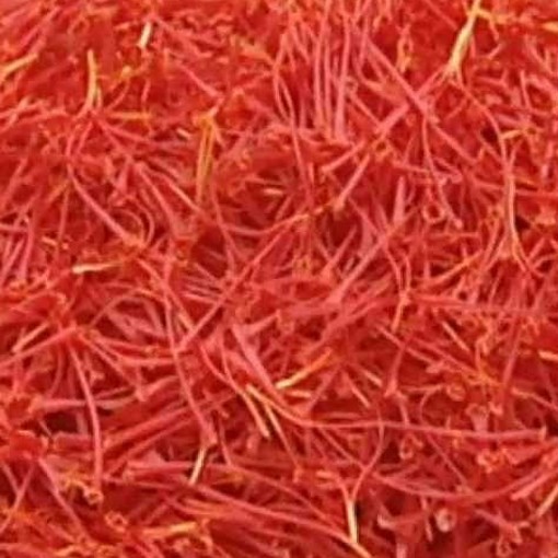 CROCUS SATIVUS or Saffron Crocus - Image 3
