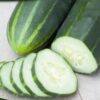 Cucumber Marketmore