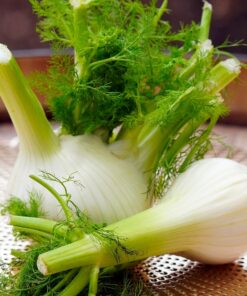 Fennel