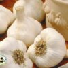 White Casablanca Garlic