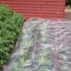 Insect Netting