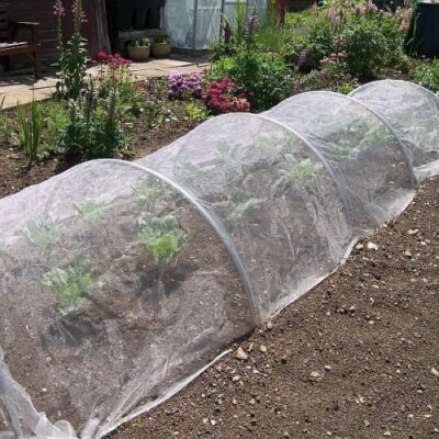 Insect Netting. Pest & Weather Protection for Your Crops