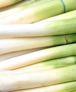 Leek