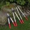 Lopping Shears. ARS LPB-30 PRO - Image 3