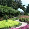 Mixed Shrubs