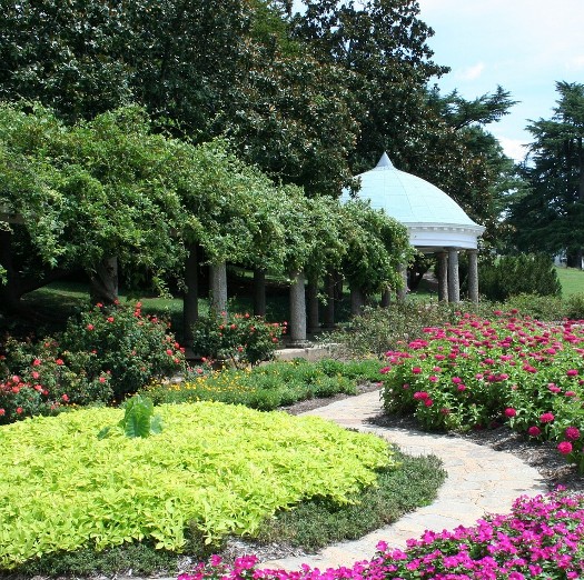 Mixed Shrubs