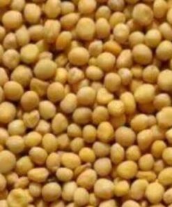 White mustard seed