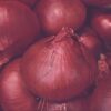 Onion Red Brunswick