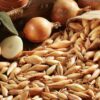Bamberger Long Onions