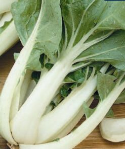 Pak Choi
