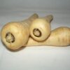 White Gem Parsnip