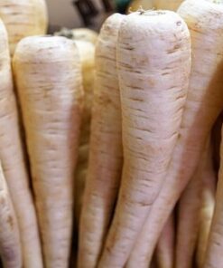 Washed Parsnip White Gem