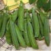 Pea Cabree
