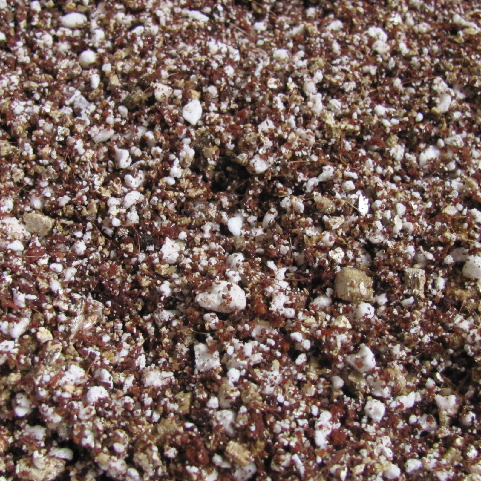 Perlite. Premium Horticultural Grade, particle size 3-6mm. - Image 4