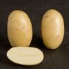 pentland dell potatoes