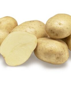 Alternative view of Premiere Seed Potatoes – Heavy Yielding First Early Variety
