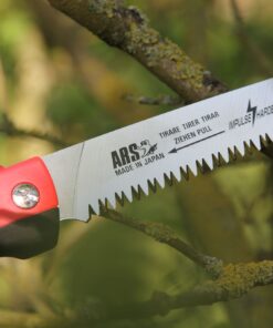 Pruning Saw