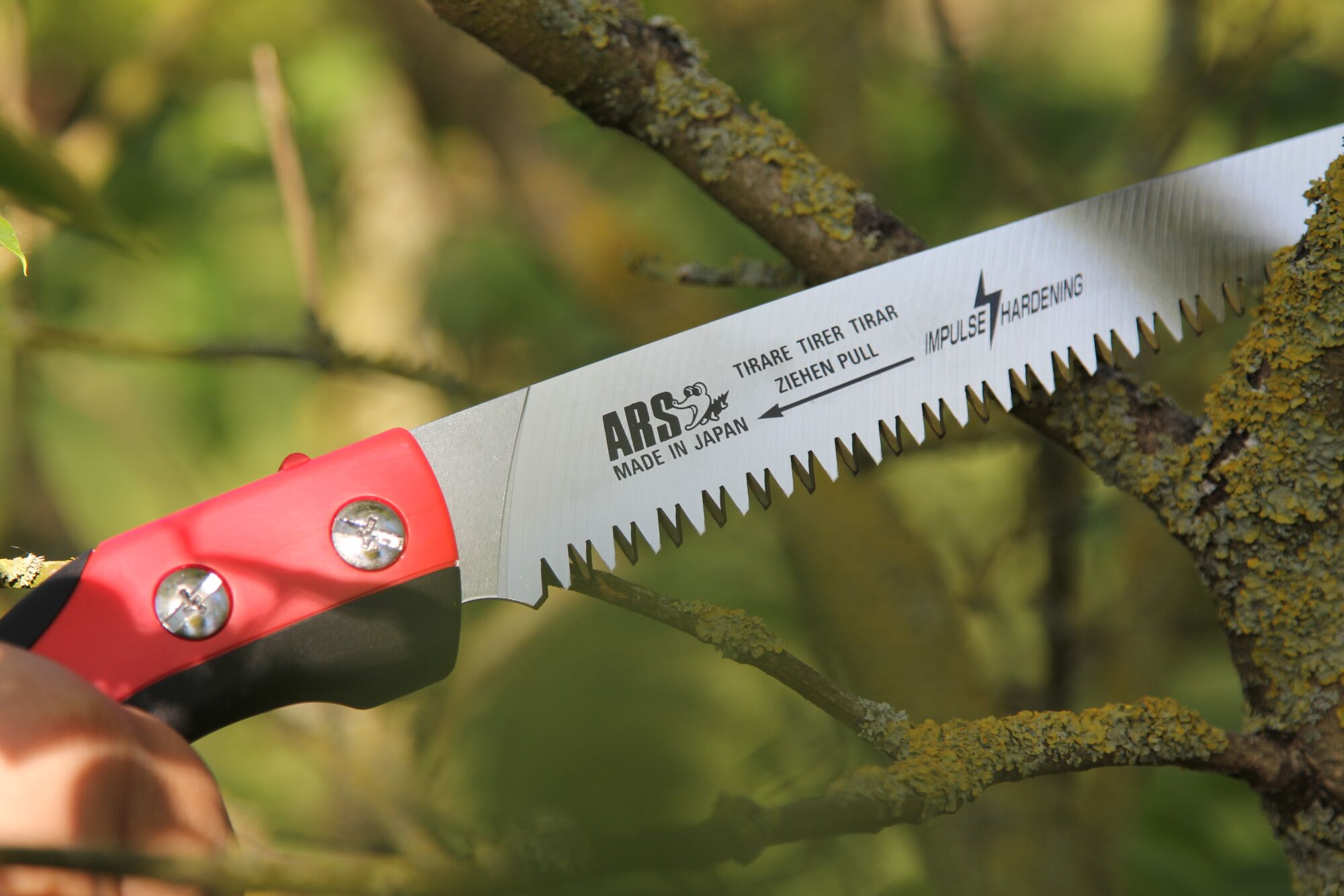 Pruning Saw