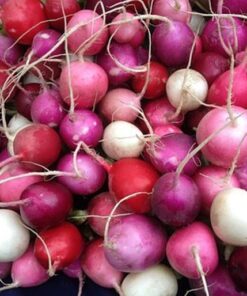 Radish Mixed