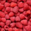 Raspberry Glen Ample