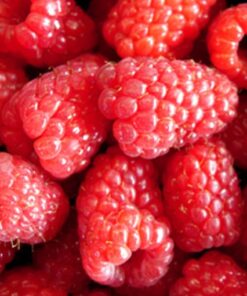 Raspberry Tulameen