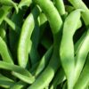 Runner Bean White Emergo