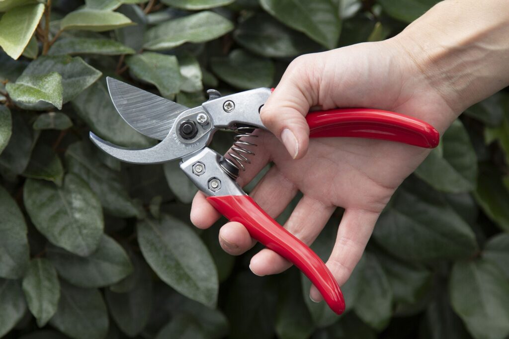 Secateurs. ARS VS-8XZ Professional Model - Image 3