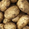 Seed Potato Ballydoon
