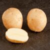 Marvel Seed Potatoes