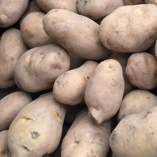 Arran Pilot Seed Potatoes. First early. - Image 2