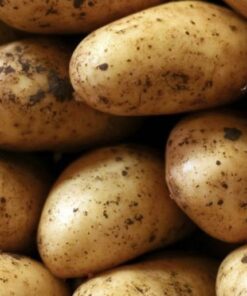 Francis seed potatoes