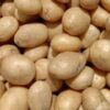 Seed Potatoes Francis