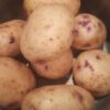 Irish Gold Seed Potatoes