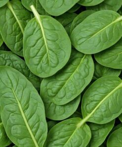 Spinach