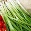 Spring Onion Ishikura