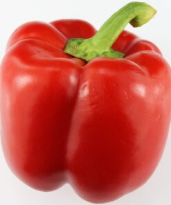 Pepper